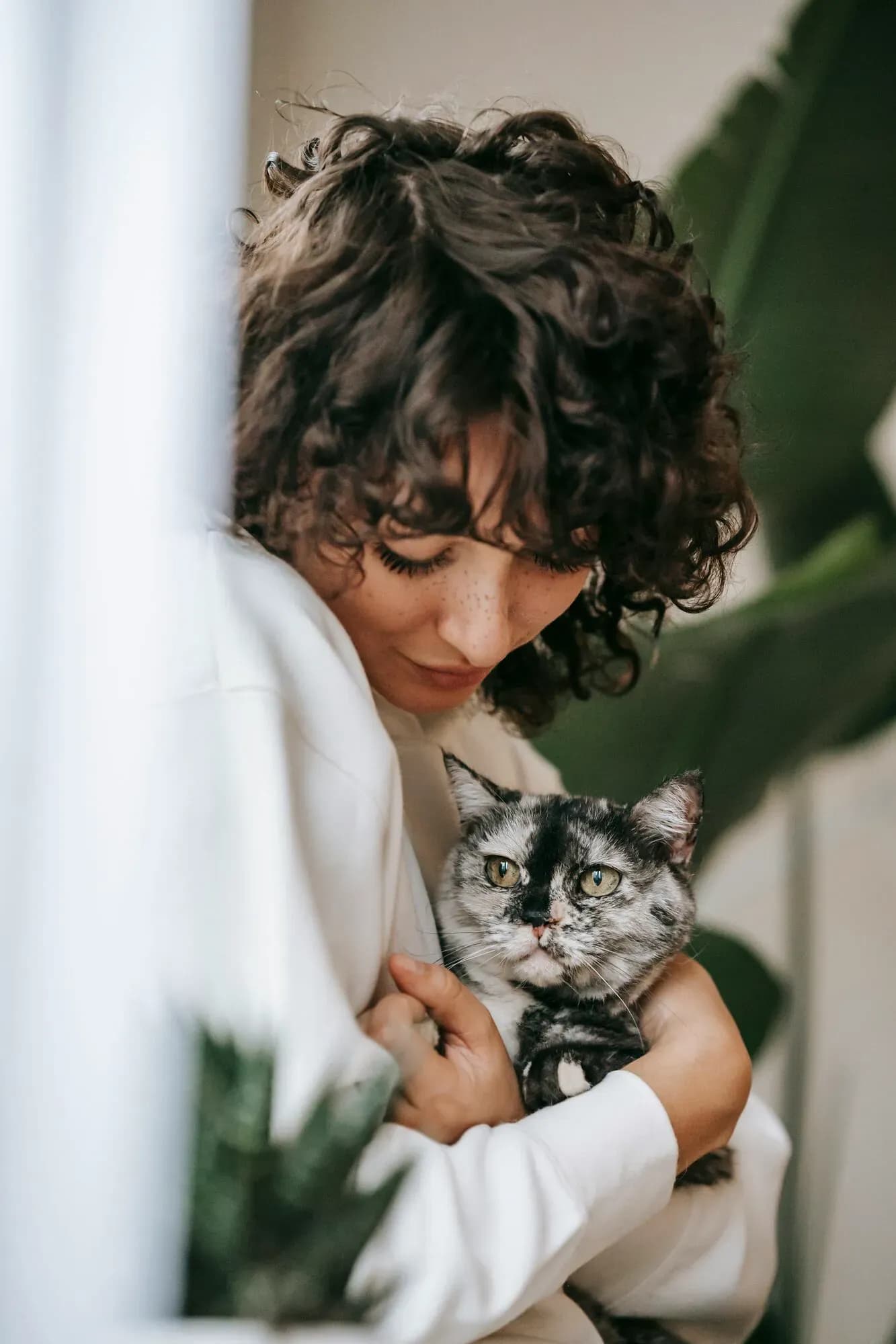 Cura degli animali