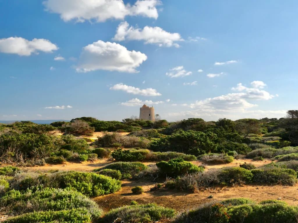 Jardins et nature à Ibiza : les plus beaux espaces verts et trésors cachés